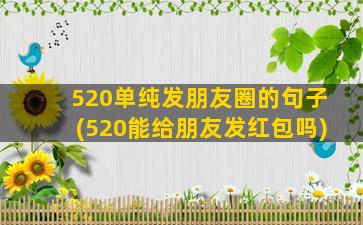 520单纯发朋友圈的句子(520能给朋友发红包吗)