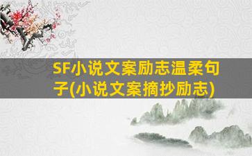 SF小说文案励志温柔句子(小说文案摘抄励志)