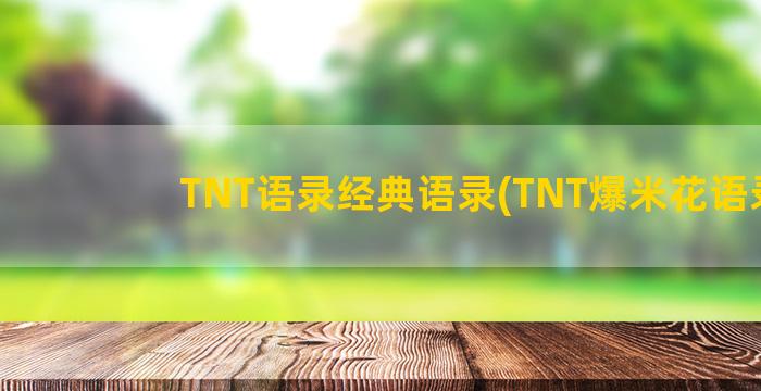 TNT语录经典语录(TNT爆米花语录)