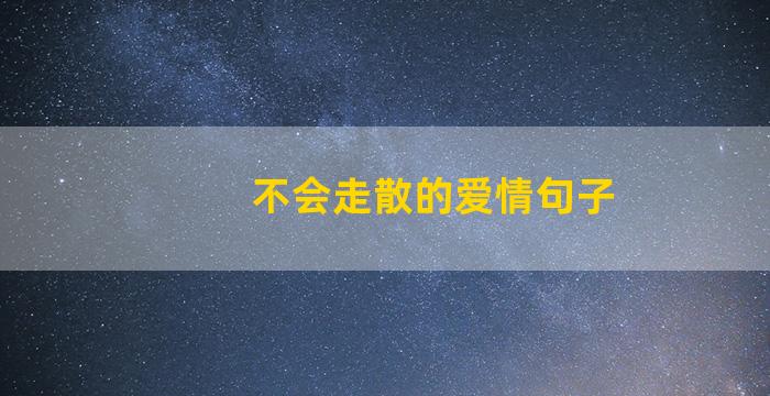 不会走散的爱情句子