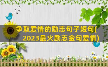 争取爱情的励志句子短句(2023最火励志金句爱情)