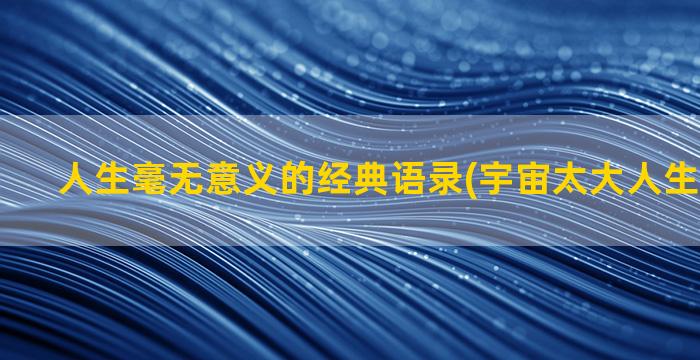 人生毫无意义的经典语录(宇宙太大人生毫无意义)