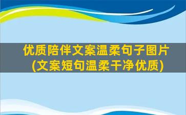 优质陪伴文案温柔句子图片(文案短句温柔干净优质)