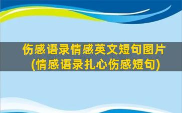 伤感语录情感英文短句图片(情感语录扎心伤感短句)