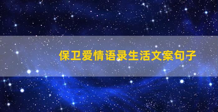 保卫爱情语录生活文案句子