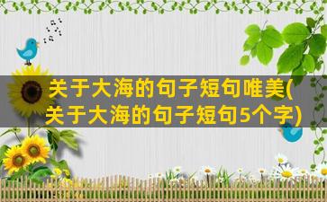 关于大海的句子短句唯美(关于大海的句子短句5个字)