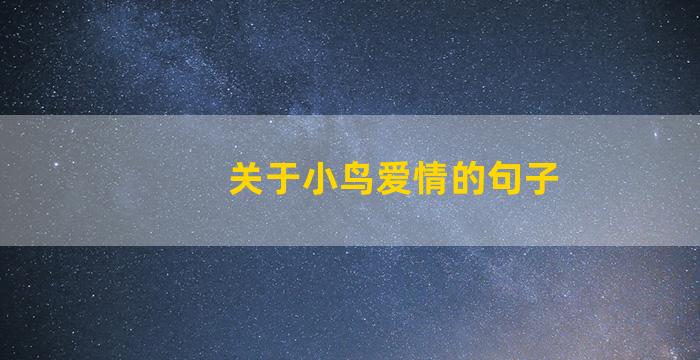 关于小鸟爱情的句子