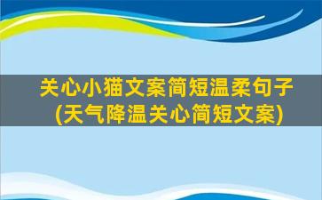 关心小猫文案简短温柔句子(天气降温关心简短文案)