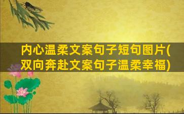 内心温柔文案句子短句图片(双向奔赴文案句子温柔幸福)