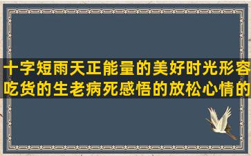 十字短雨天正能量的美好时光形容吃货的生老病死感悟的放松心情的幽默人的一生的雪人军人教养的做家务蚂蚁写细节的雪人的伤感文艺睡不着描写火描写累鸟叫的认可的描写花园景