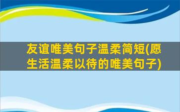 友谊唯美句子温柔简短(愿生活温柔以待的唯美句子)