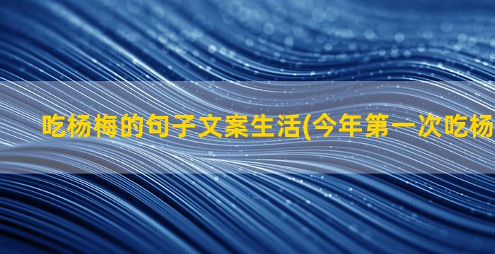 吃杨梅的句子文案生活(今年第一次吃杨梅的文案)