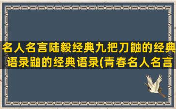 名人名言陆毅经典九把刀鼬的经典语录鼬的经典语录(青春名人名言大全经典)