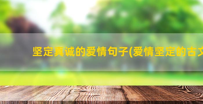 坚定真诚的爱情句子(爱情坚定的古文句)