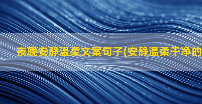 夜晚安静温柔文案句子(安静温柔干净的文案短句)