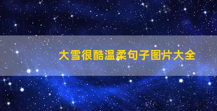 大雪很酷温柔句子图片大全