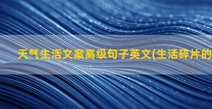 天气生活文案高级句子英文(生活碎片的高级文案)