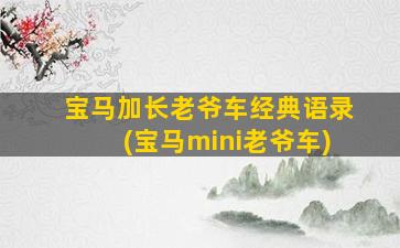 宝马加长老爷车经典语录(宝马mini老爷车)