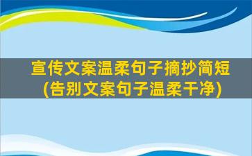 宣传文案温柔句子摘抄简短(告别文案句子温柔干净)