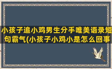 小孩子追小鸡男生分手唯美语录短句霸气(小孩子小鸡小是怎么回事)