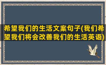 希望我们的生活文案句子(我们希望我们将会改善我们的生活英语)