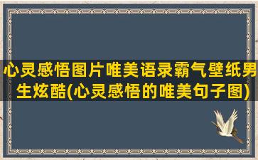 心灵感悟图片唯美语录霸气壁纸男生炫酷(心灵感悟的唯美句子图)