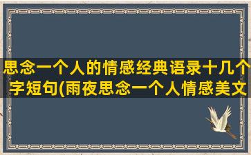 思念一个人的情感经典语录十几个字短句(雨夜思念一个人情感美文)