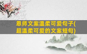 恩师文案温柔可爱句子(超温柔可爱的文案短句)