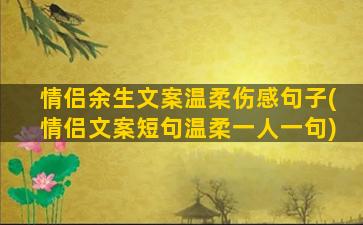 情侣余生文案温柔伤感句子(情侣文案短句温柔一人一句)