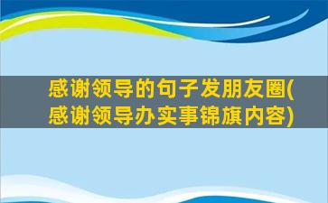 感谢领导的句子发朋友圈(感谢领导办实事锦旗内容)