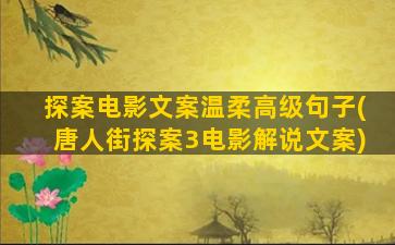 探案电影文案温柔高级句子(唐人街探案3电影解说文案)