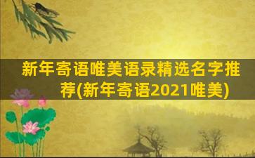 新年寄语唯美语录精选名字推荐(新年寄语2021唯美)