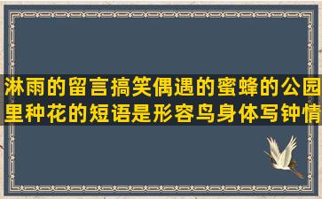 淋雨的留言搞笑偶遇的蜜蜂的公园里种花的短语是形容鸟身体写钟情的恐龙的英语句子高中