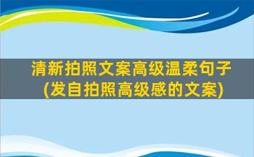 清新拍照文案高级温柔句子(发自拍照高级感的文案)