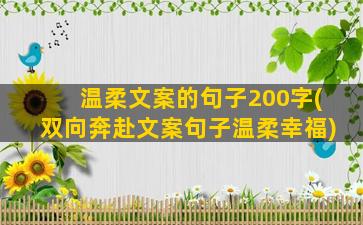 温柔文案的句子200字(双向奔赴文案句子温柔幸福)