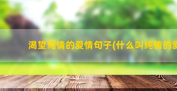 渴望纯情的爱情句子(什么叫纯情的爱情)