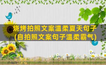 烧烤拍照文案温柔夏天句子(自拍照文案句子温柔霸气)