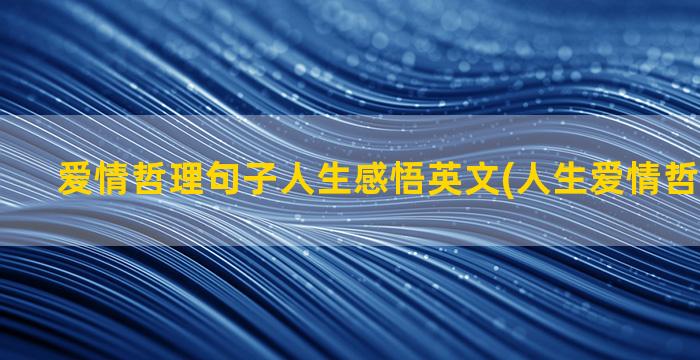 爱情哲理句子人生感悟英文(人生爱情哲理的句子)