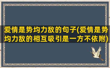 爱情是势均力敌的句子(爱情是势均力敌的相互吸引是一方不依附)