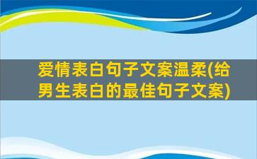 爱情表白句子文案温柔(给男生表白的最佳句子文案)