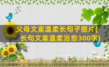 父母文案温柔长句子图片(长句文案温柔治愈300字)