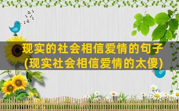 现实的社会相信爱情的句子(现实社会相信爱情的太傻)