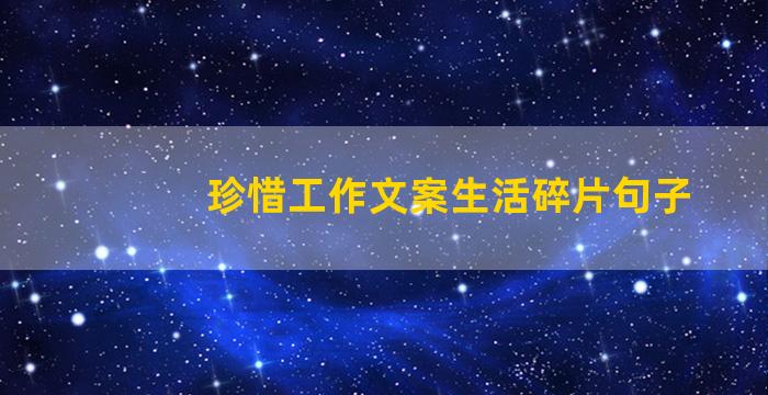 珍惜工作文案生活碎片句子