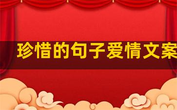 珍惜的句子爱情文案长句