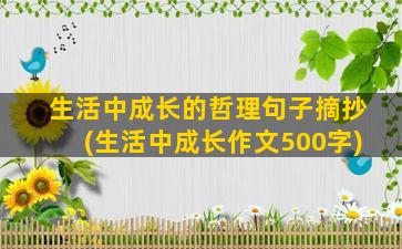 生活中成长的哲理句子摘抄(生活中成长作文500字)