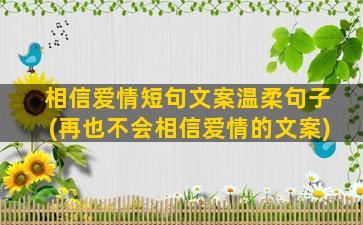 相信爱情短句文案温柔句子(再也不会相信爱情的文案)