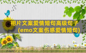 相片文案爱情短句高级句子(emo文案伤感爱情短句)