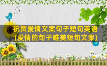 祝贺爱情文案句子短句英语(爱情的句子唯美短句文案)