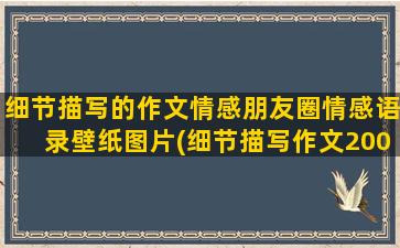 细节描写的作文情感朋友圈情感语录壁纸图片(细节描写作文200字)