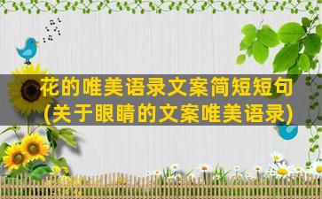 花的唯美语录文案简短短句(关于眼睛的文案唯美语录)